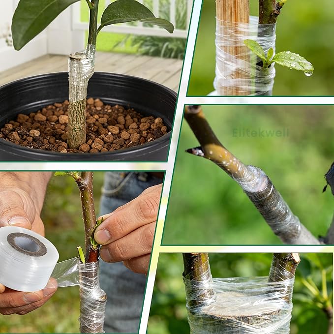 Plant Grafting Tape 4 Rolls Clear Stretchable Film for Fruit Tree