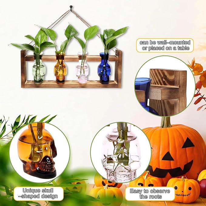 Plant Propagation Stations Halloween Skull Plant Terrarium Kit Glass Vases Gift for Father Air Planter Home Office Decor