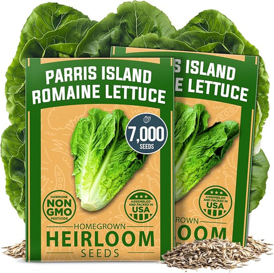 HOME GROWN Parris Island Romaine Lettuce Seeds 7000+ Bulk Pack Heirloom Non-GMO, High Germination, Crisp Cos Lettuce for Planting, Indoor Outdoor Hydroponic Garden, Slow to Bolt (Lactuca Sativa)