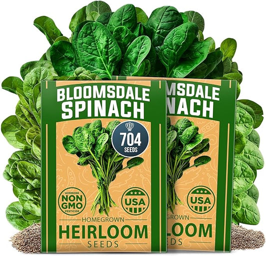 HOME GROWN Bloomsdale Spinach Seeds 704+ Heirloom Non-GMO Seeds for Planting, High Germination, Cold Hardy Dark Green Savoy Leaf, Nutritious Superfood, Indoor Outdoor Garden (Spinacia oleracea)