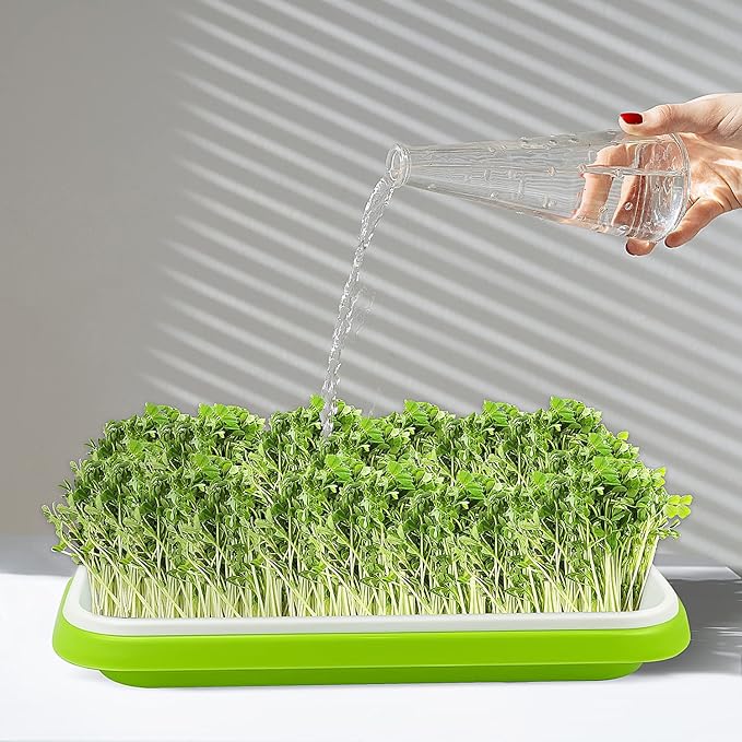 Seed Sprouting Tray, 10 Packs Microgreens Growing Trays Big Capacity Sprouts Growing Kit Soil-Free Sprouter Tray for Sprouting Seeds, Beans, Wheatgrass (Without Lids)