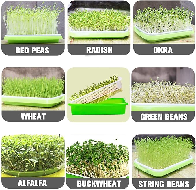 Legigo 5 Pack Seed Sprouter Trays with Lids- Soil-Free Cultivation Germination Tray, BPA Free Micro Greens Growing Trays Seed Sprouting Trays Kit with Germinating Paper for Wheatgrass, Beans and More