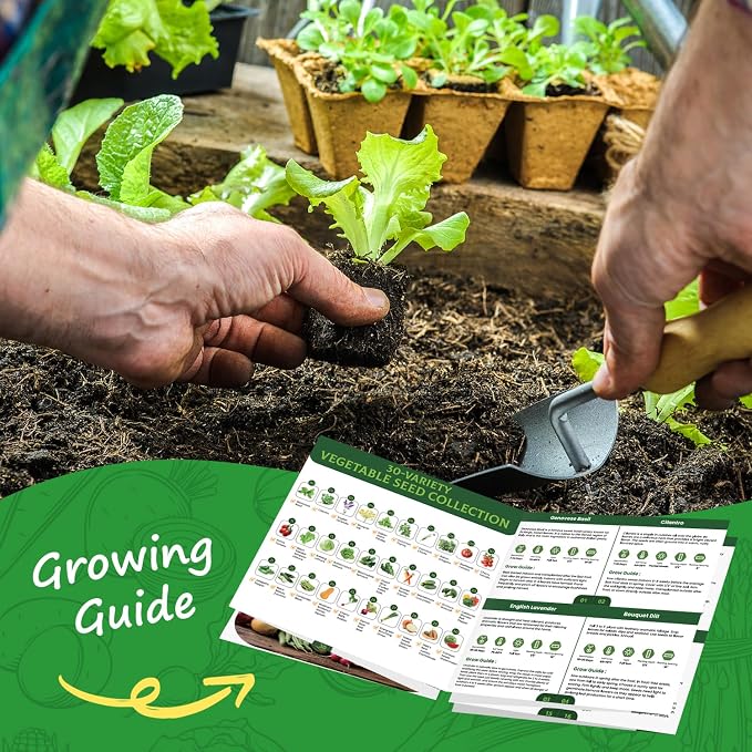 30 Heirloom Vegetable Seeds for Planting, 12,000+ Garden Seeds - Vegetable, Herb, Fruit Seeds - Survival Seed Vault with Tomato, Basil, Lettuce, Bean, Pepper, Squash and More