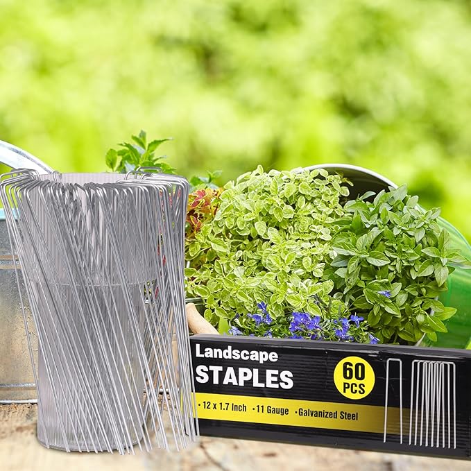60 Pack 12 Inch Landscape Staples, Tent Stakes Heavy Duty Galvanized 11 Gauge Garden Pins Ground Staples for Lawn Yard Fence Landscaping Fabric Outdoor Decorations