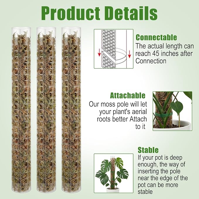 6 Pcs Plastic Moss Pole for Monstera 6×24'' Plant Poles for Climbing Plants Shaped Plant Support Indoor Use with Sphagnum Moss for Climbing Plants Work 24 Inch