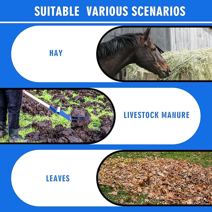 Tandefio 2 Pack Manure Fork Replacement Head Metal Pitchfork Horse Manure Rake Garden Pitch Fork Replacement Head with Angled Tines for Horse Stall Poop Picking up(Blue)