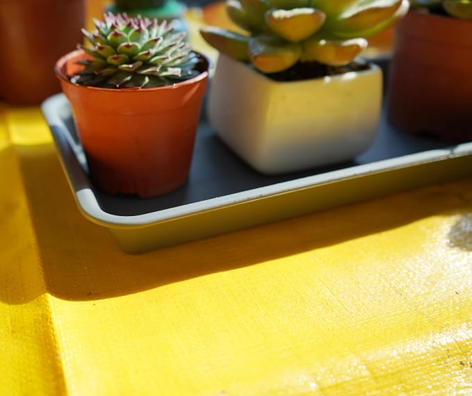 VUWEZ 2 Pack Plastic Plant Trays, Rectangular, Indoors/Outdoors, Drip Tray for Flower Pots, Windowsill (6 x 11 Inch, Gray)