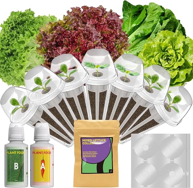 Red Romaine Lettuce Seed Pods for AeroGarden, Ahopegarden, iDOO, MUFGA - Compatible with All Hydroponic Indoor Garden Growing System Refill, 400+ Seeds, 7 pods