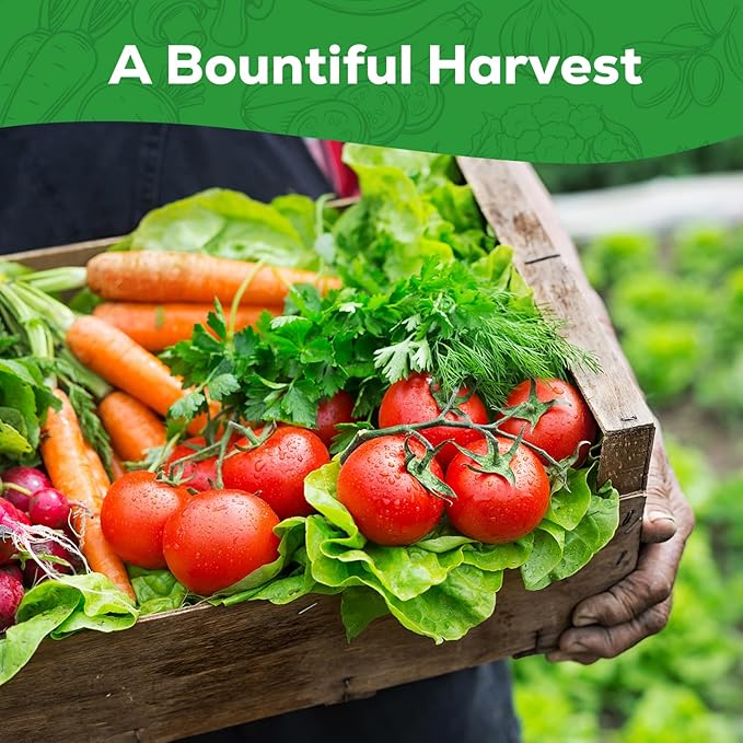 30 Heirloom Vegetable Seeds for Planting, 12,000+ Garden Seeds - Vegetable, Herb, Fruit Seeds - Survival Seed Vault with Tomato, Basil, Lettuce, Bean, Pepper, Squash and More