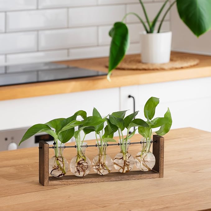 YIBOT Wall Hanging Glass Planter Plant Propagation Vase-5 Bulb Glass Vases | Plant Terrarium with Wooden Stand,Indoor Home Office Living Room Decor Gifts