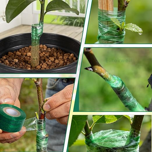 Grafting Tape 4 Pcs for Plants Fruit Trees Budding Repair Garden Film Tape