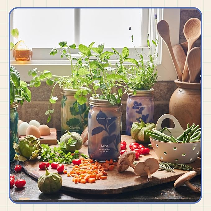 Modern Sprout Mason Garden Jar - Self-Watering Hydroponics Growing System Kit with Organic Herb Seeds - Jar Planter for Indoor Herb Garden - Seed Starter Kit - Home Decor - Gift for Mother's Day -Mint
