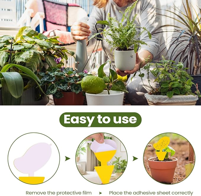 Qualirey 200 Sheets Fruit Fly Sticky Traps for Fruit Fly Gnat Trap for House Indoors Sticky Traps Catcher for Gnats Fungus Gnats Mosquito Catcher for Kitchen Outdoor Plants (Cute Style, Yellow, Green)