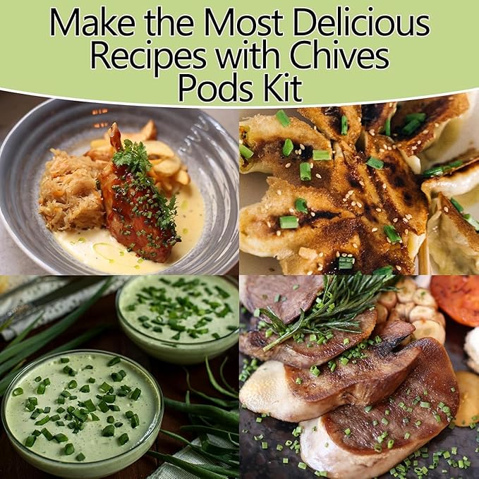 Chives Seed Pods for All Hydroponics Growing Systems, 12 Pods Herb Kit with 200+ Seeds of Chives, Grow Your Own Herb Garden at Home