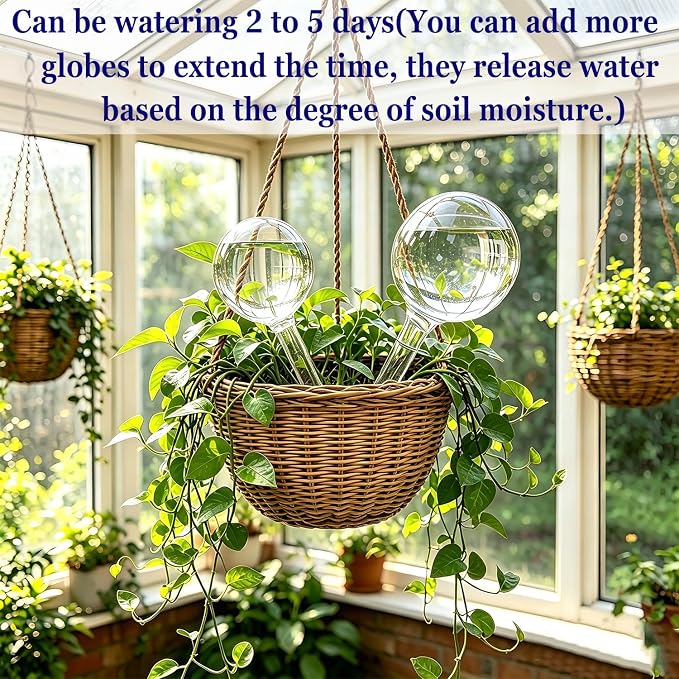 Kingbow Plant Self Watering Globes, Large 12pcs Durable Self Watering Bulb Up to 5 Days of Irrigation for Outdoor Indoor Plant, Automatic Plant Waterer Stake Ideal for Vacation & Daily Plant Care