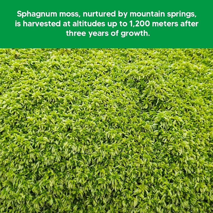 Natural Long Fiber Sphagnum Moss 1196QT for Orchid Potting Mix, and Moss Pole for Plants Indoor. Ideal for Propagating Plants, Maintaining Humidity for Reptiles, Isopods in Paludarium (22 lb)