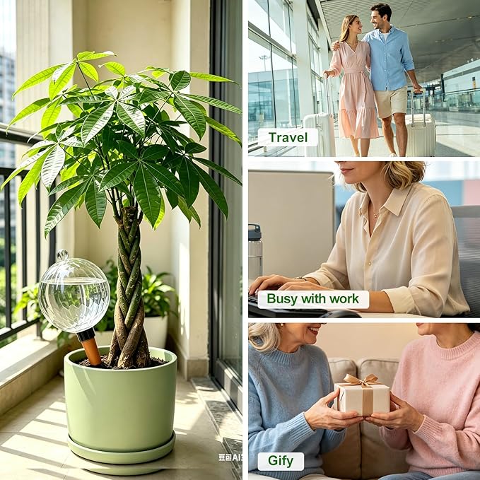 26oz Extra Large Self Watering Globes, Plant Watering Globes, Water Globes, Plant Water Bulbs, Watering Bulbs for Indoor Outdoor Potted Plants, Water Plants While Away 2-Pack