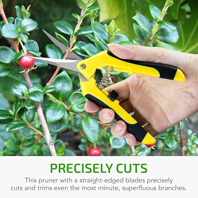 iPower 6.5 Inch Gardening Scissors Hand Pruner Pruning Shear for Gardening and Trimming, Heavy-Duty, Ultra Sharp Stainless Steel, Yellow, 10-Pack