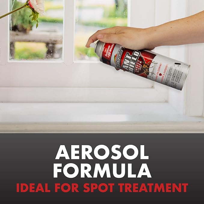 Spectracide Ant Shield Insect Killer Aerosol, 15-Ounce, Case Pack of 12