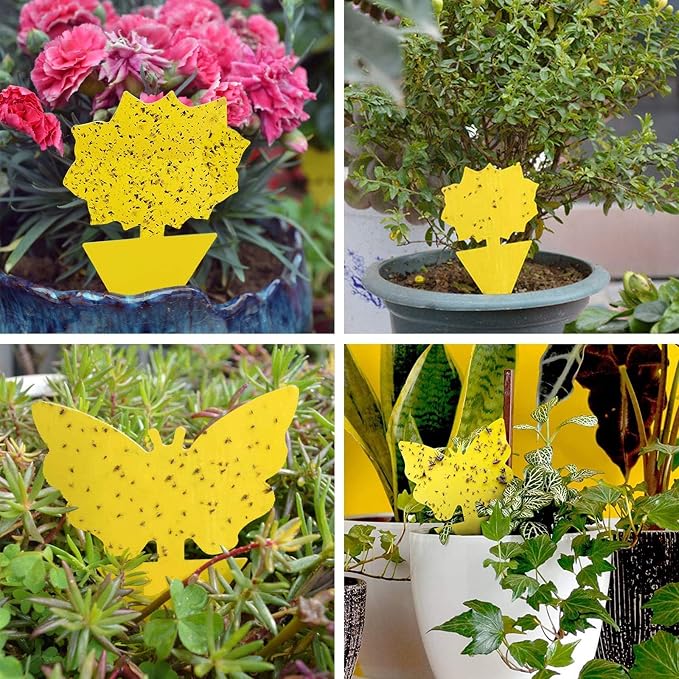 Dual-Sided Yellow Sticky Traps for Insect Monitoring – 24 Pack Plant Sticky Cards for Fungus Gnats, Whiteflies & Aphids, Non-Toxic IPM Traps for Indoor & Outdoor Plants