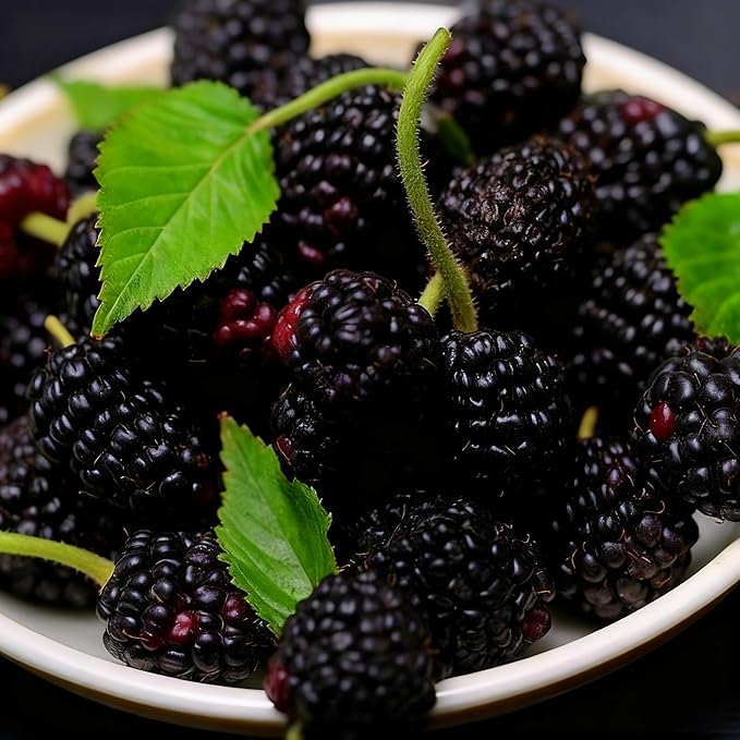 1500+ Fruit Tree Seeds Mixed for Planting, 6 Varieties, 400 Strawberry 200 Blueberry 300 Raspberry 300 Mulberry 200 Cranberry 20 Cherry, Non-GMO Heirloom Seed for Garden Outdoor