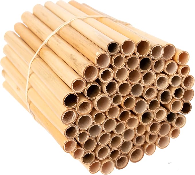 Rivajam 125 Phragmite Reed Mason Bee Tubes | Refill for Bee House, Hotel Nest Box, Solitary Hive & Pollinator Box | Garden Starter Kit & Supplies