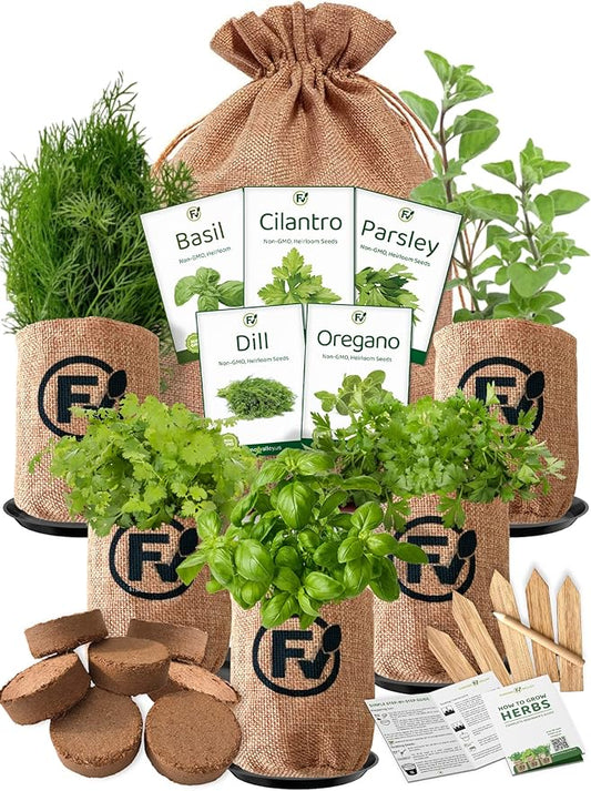 Indoor Herb Starter Grow Kit - 5 Different Medicinal & Tea Herb Seeds - Parsley, Basil, Cilantro (Coriander), Dill, Oregano - Non GMO and Heirloom - Including Pots and Soil - Made in USA