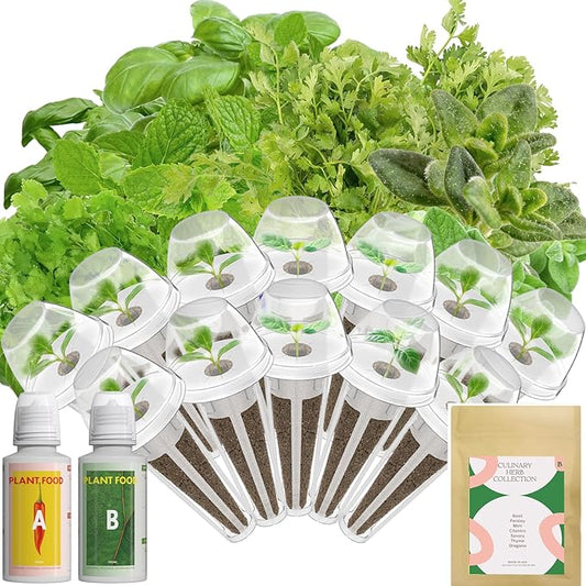 inbloom 12-Pod Gourmet Herb Basil Seed Pod Kit for AeroGarden, Ahopegarden Hydroponic Garden, Basil, Mint, Cilantro, Parsley, Shiso, Chicory, Liquorice, 400+ Seeds