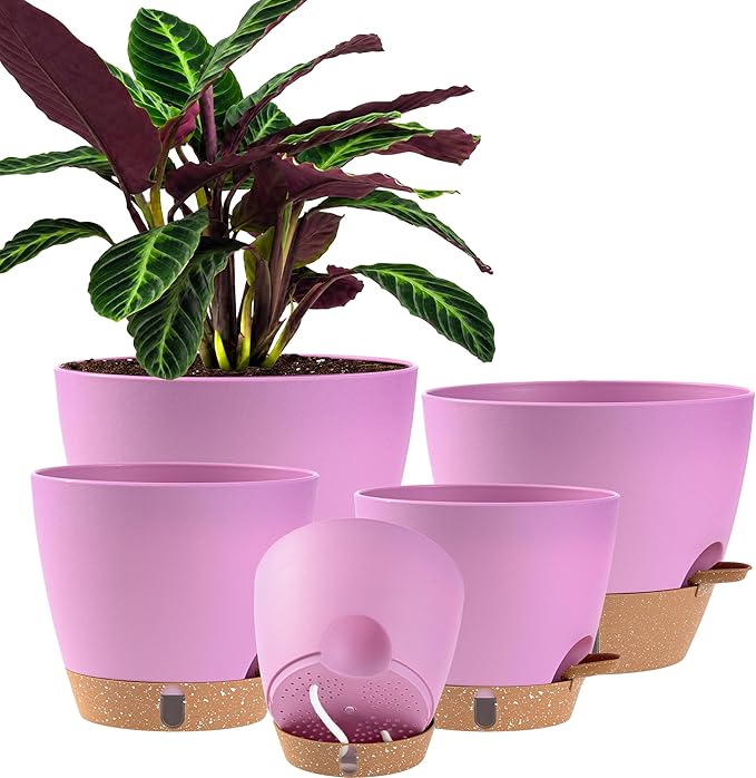 Self Watering Pots for Inoor Ourdoor Plants 10/9/8/7/6.5 Inch Plastic Planters with Drainage Holes & Water Level Indicator, Decorative House Flower Nursery Planting Pots with Saucers (Dusty Rose/Pink)