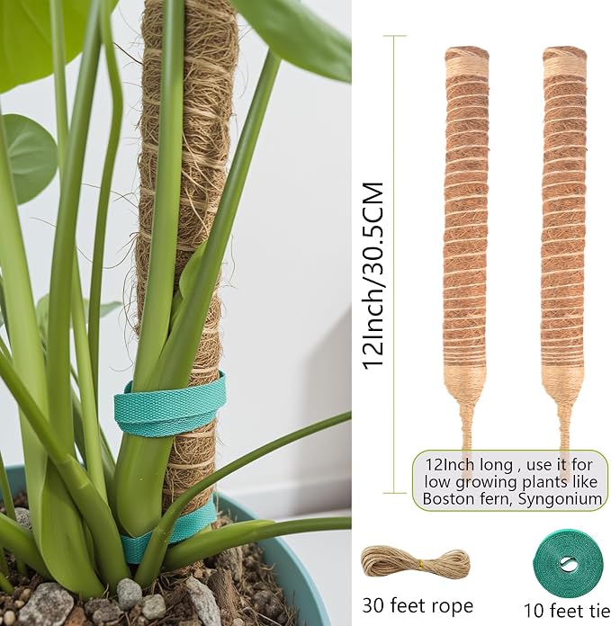 2 Pack Bendable Moss Pole 12 Inch, Monstera Plant Support Stake,Coco Coir Pole Sticks for Indoor Plants,Climbing Potted Plants，Pothos, Philodendron with Plants Ties