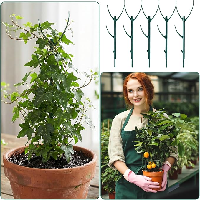 5 Pack Monstera Plant Support Moss Poles for Climbing Plants Moss Stick Pins Plant Stakes Climbing Plant Hook to Hold Plant Together Moss Pole for Support Tall Potted Plants Outdoor