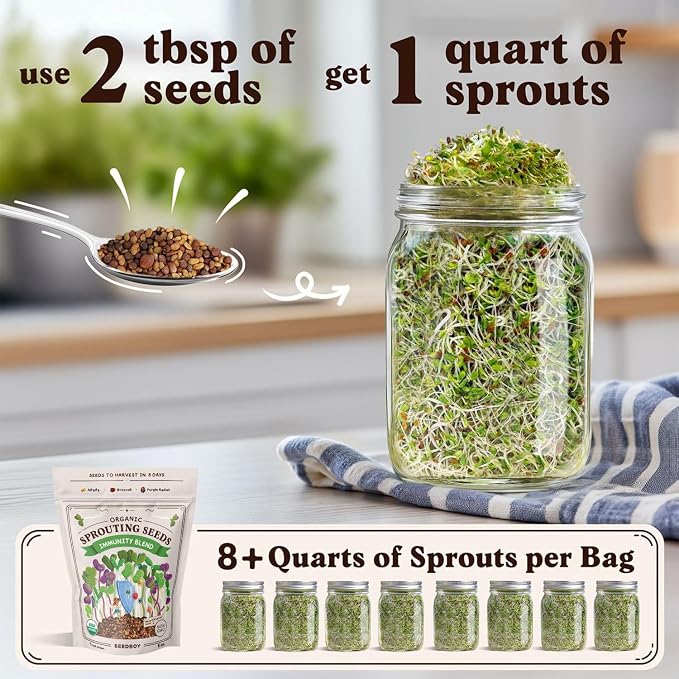 Seedboy Organic Non-GMO Sprouting Seeds, Immune System Booster - USA Grown Microgreens Mix with Broccoli, Purple Radish, Alfalfa - 8 oz Bag Makes 8 Quarts / 32 Servings (Immune System Booster Blend)