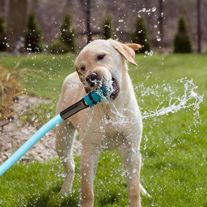 MEASUREMAN 50 Feet Lightweight Garden Hose, 5/8 inch x 3/4 inch GHT, All-Weather & Flexible, Kink-Resistant, Leak-Proof, Blue