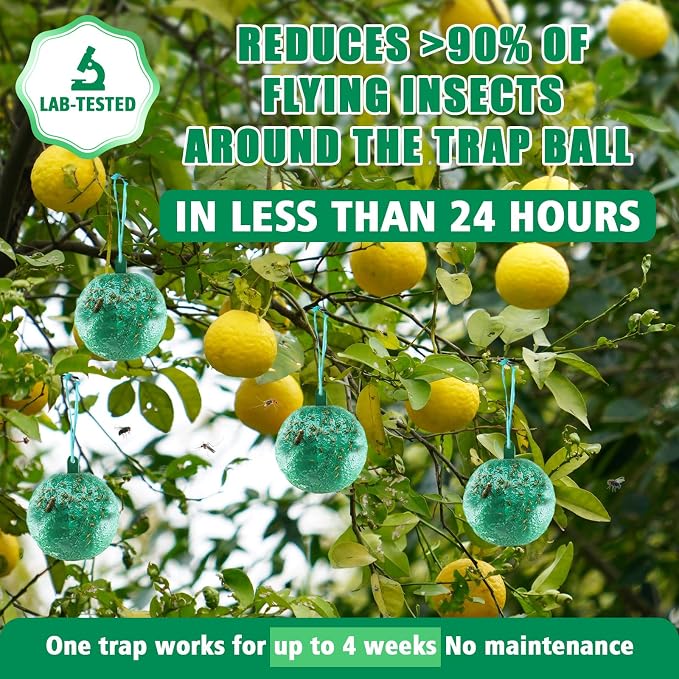 Sticky Insect Trap Ball, osseph Fruit Fly Trap Balls for Indoor Outdoor 6pc, Physical Extra Sticky Hanging Bug Ball Catches Flie Gnat Wasps Mosquitoe Flying Insects (Green)