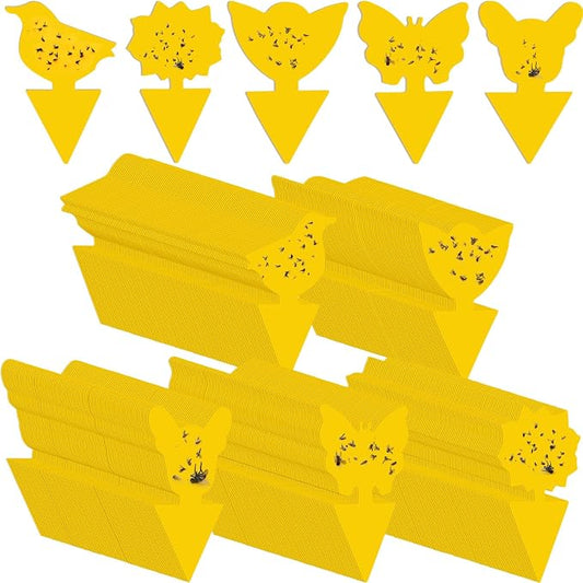 Qualirey 50 Sheets Fruit Fly Sticky Traps for Fruit Fly Gnat Trap for House Indoors Sticky Traps Catcher for Gnats Fungus Gnats Mosquito Catcher Kitchen Outdoor Plants(Classic Style, Yellow Color)