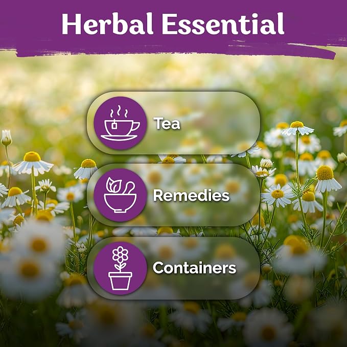 KVITER 2,500 German Chamomile Seeds for Planting (Matricaria Chamomilla/Recutita) – Heirloom & Non-GMO Medicinal Herb Seeds, Flowers for Remedies & Chamomile Tea – Indoors/Outdoors Herb Garden