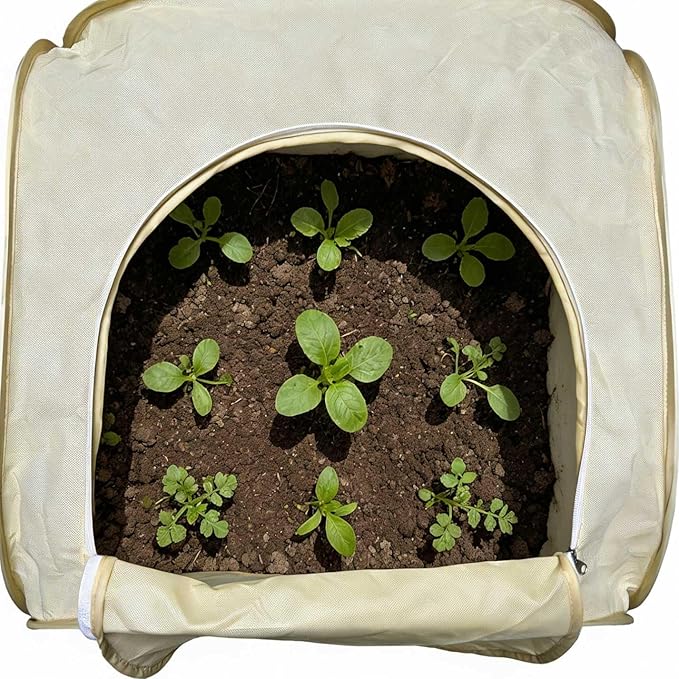 2 Pack Plant Freeze Protection Covers, Winter Shrub Frost Protection Covers for Plants in Winter Warm Plant Tent Protecting Fruit Potted Plants Tree from Freezing Animals Eating (23x23x23in)