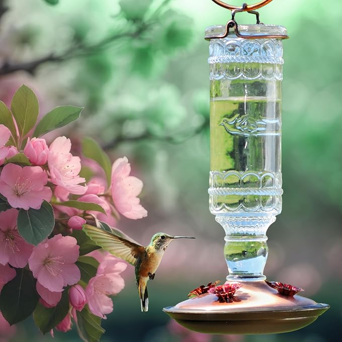 Perky-Pet Antique Glass Bottle Hummingbird Feeder - Outdoor Garden Décor Hummingbird Feeder - 8107-1SR - 10 Fl Oz Nectar Capacity - Durable Humming bird Feeder for Backyards, Porches, Decks, Hooks