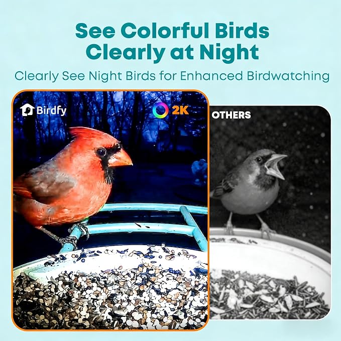 NETVUE by Birdfy Smart Bird Feeder with AI Camera, Auto Capture Videos & Live Stream, Wireless Wildbird Watching, Outdoor Backyard Birder(AI by Subscription) Blue