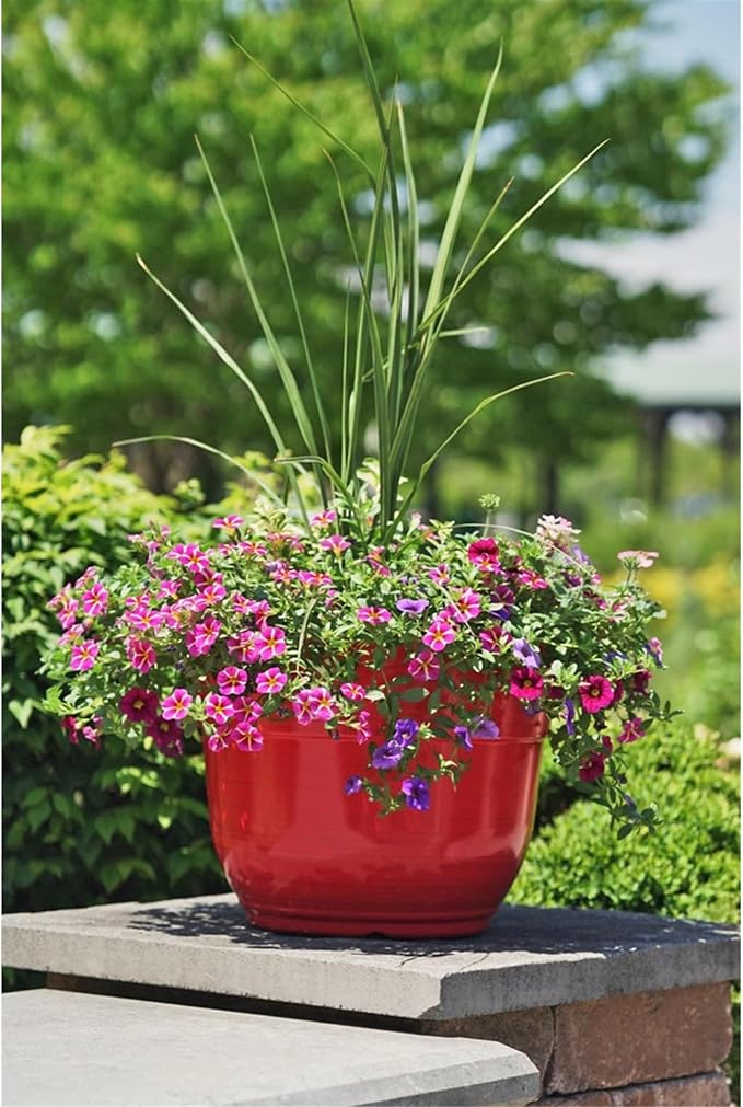Garden Elements Indoor/Outdoor Glazed Brushed Happy Plastic Planter, Large, Bright Red, 15"