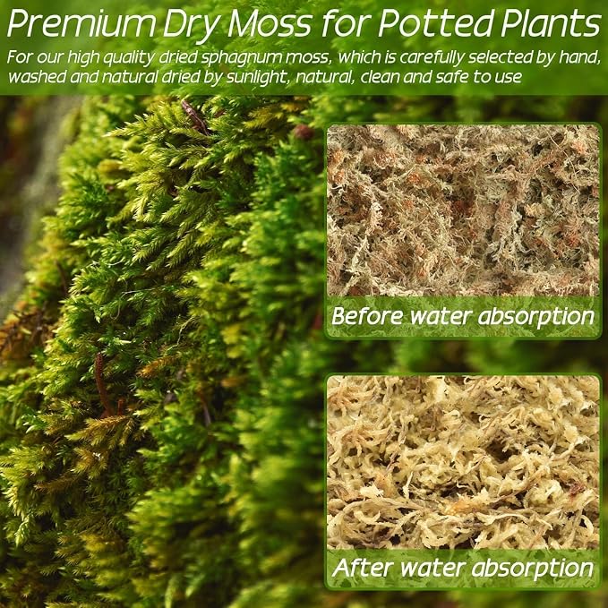 ZeeDix 2.2 lb Premium Sphagnum Moss Bulk, Natural Long Fiber Orchid Sphagnum Peat Moss for Carnivorous Plants Succulent Monstera Indoor Outdoor Plants & Reptiles Terrariums Habitats(Expands to 40 qt)