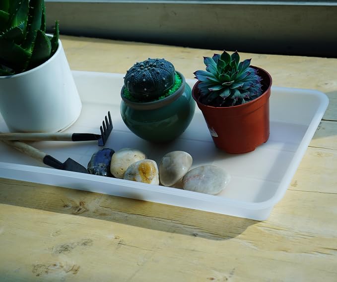 VUWEZ 2 Pack Plastic Plant Tray Saucer Rectangular, Indoors Outdoor Plant Water Drip Tray for Flower Pot Planter, Windowsill (6 X 11 Inch, Clear)