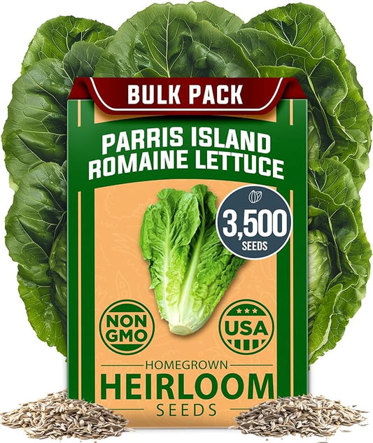 HOME GROWN Parris Island Romaine Lettuce Seeds 3,500+ Heirloom Non GMO, High Germination, Crisp Heads, Indoor Outdoor Hydroponic Garden, Crunchy Cos Lettuce, Slow to Bolt,Vitamin Rich (Lactuca sativa)