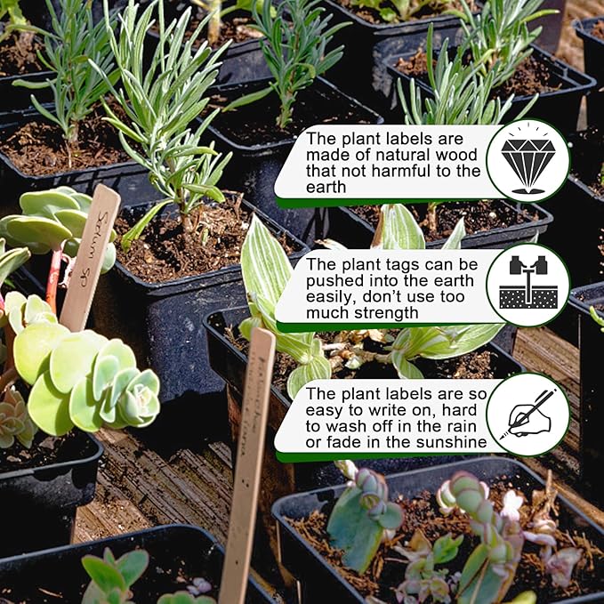 Zkptops 50Pcs Wooden Plant Labels Plant Tags 6 Inch Garden Plants Markers Waterproof Seed Labels Markers Sticks Outdoor Garden Label Stakes Sign Wooden Plants Name Tags for Seedling Vegetables Flower