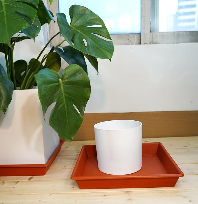 NIMYAU Square Plant Saucer 14 Inch 5 Pack，Plant Stand Plant Trays for Pots Heavy Duty Plastic Plant Saucers for Indoors Outdoors, Flower Pot No Holes Terracotta Plant Lover Gardening Gifts