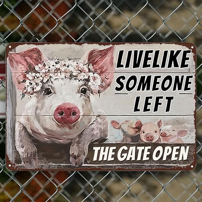 Vintage Metal Farm Signs-Funny Pigs Decor Sign Live Like Someone Left The Gate Open Tin Sign for Home Farm Fence Kitchen Bedroom Wall Decor 8x12 inches
