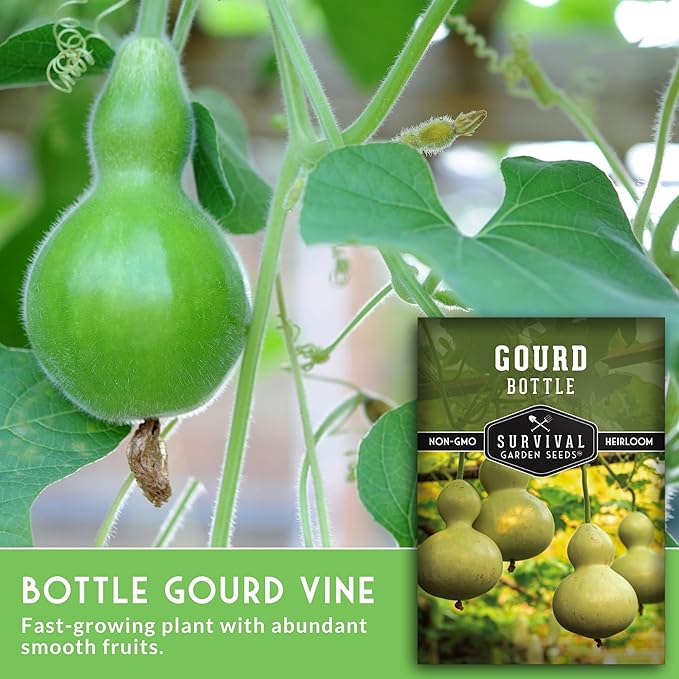 Bottle Gourd Seeds for Planting - Heirloom Calabash Birdhouse Gourds for Gardening, Crafts, Trellises & Edible Young Harvests - Survival Garden Seeds (3 Packs)