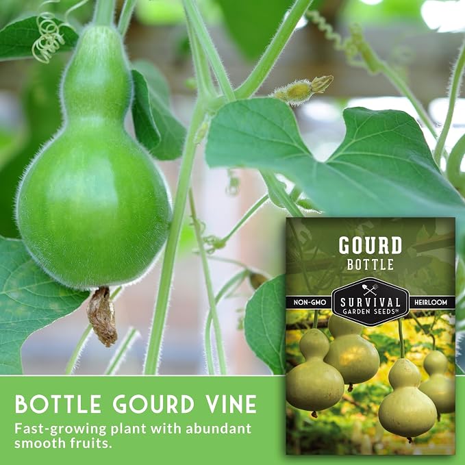 Bottle Gourd Seeds for Planting - Heirloom Calabash Birdhouse Gourds for Gardening, Crafts, Trellises & Edible Young Harvests - Survival Garden Seeds (2 Packs)