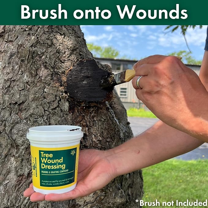 Treekote Tree Wound Dressing - 16oz Tub - Grafting, Pruning, and Wound Care for Damaged Trees - Pruning Sealer, Grafting Compound - for Effective Tree Wound Repair