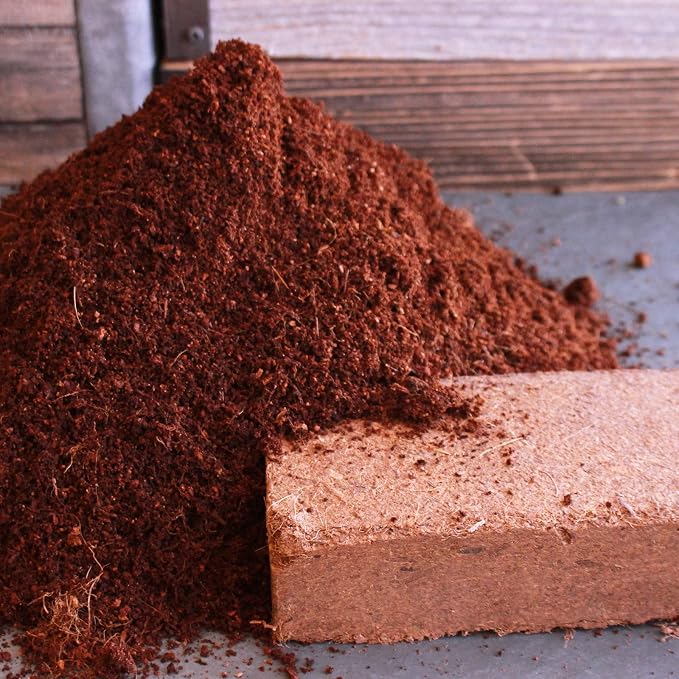 Minute Soil Eco-Friendly Coco Brick 24 Pack – OMRI Medium Expands to 36 Gal – Ideal for Seedlings, Planters, Greens, Houseplants, Raised Beds, Hydroponics, Outdoor Use